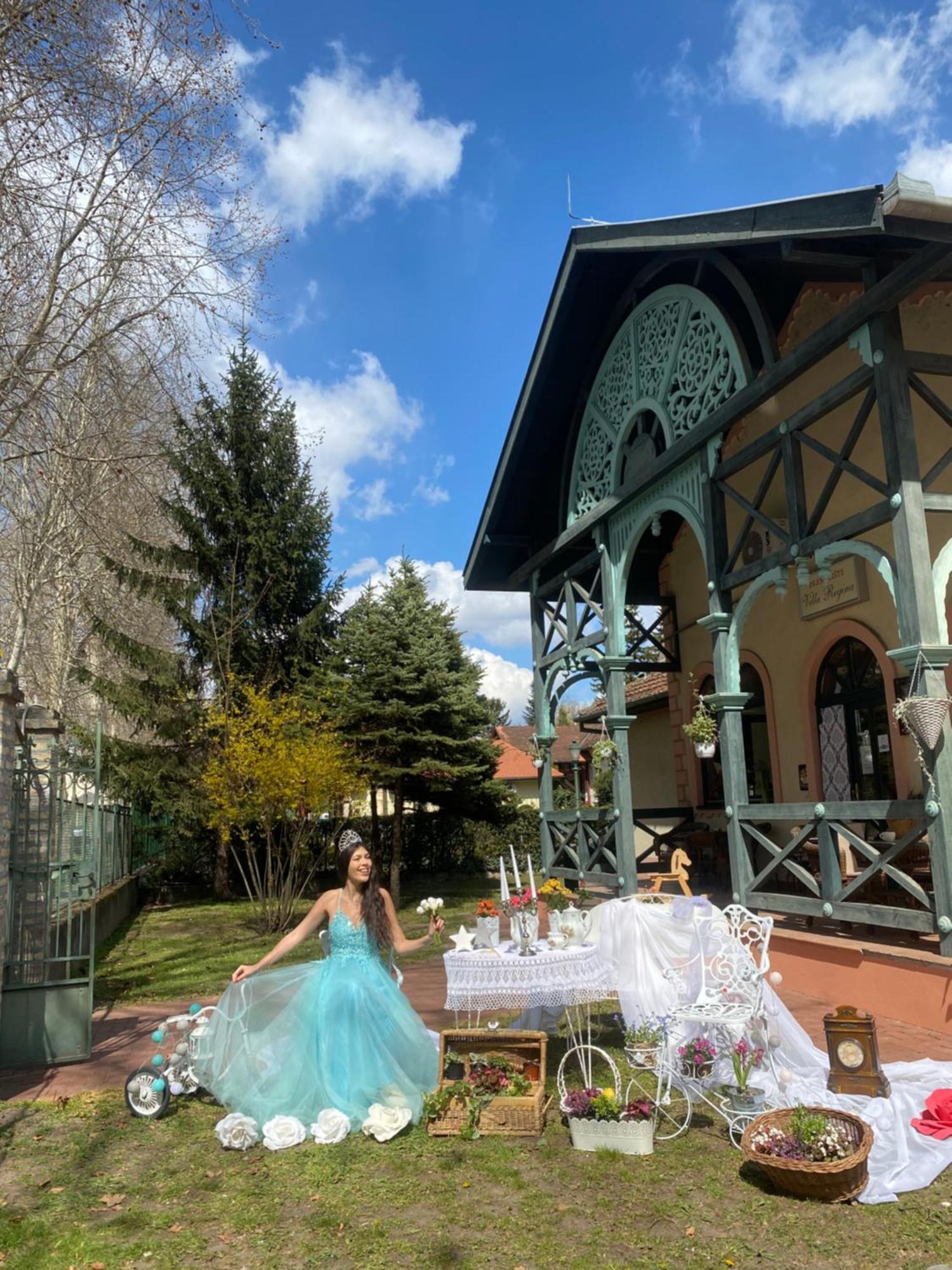 Palić Vila Regina מראה חיצוני תמונה