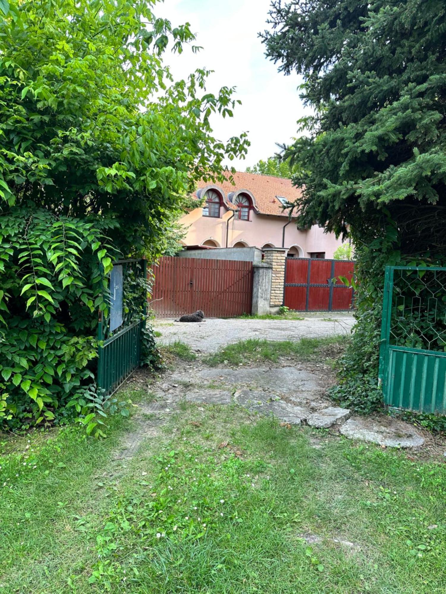 Palić Vila Regina חדר תמונה