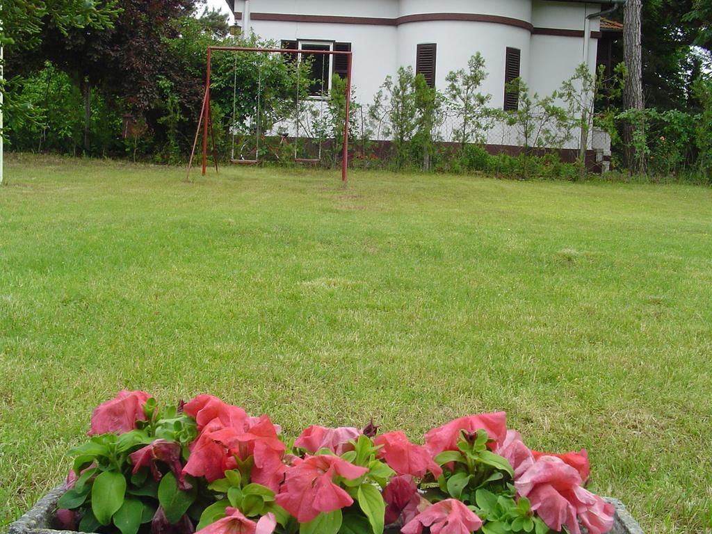 Palić Vila Regina חדר תמונה